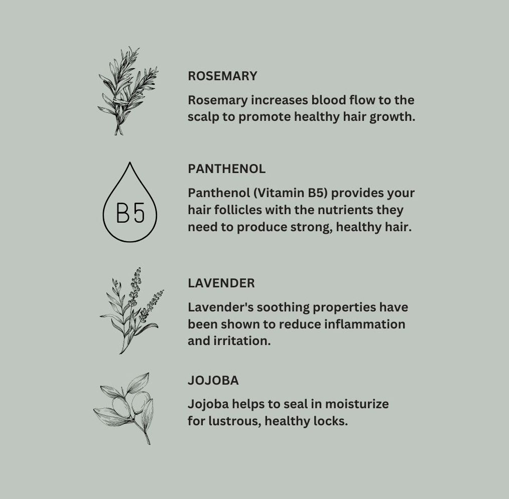 Shampoo & Body Wash
